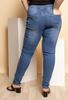 Picture of CURVY GIRL  RIPPED BLUE JEANS